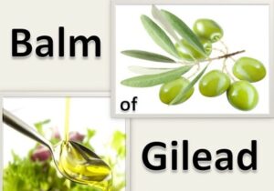 Balm in Gilead - Trees of Righteousness Affiliation