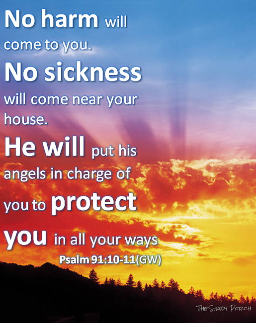 Psalm 91:10 - Trees of Righteousness Affiliation